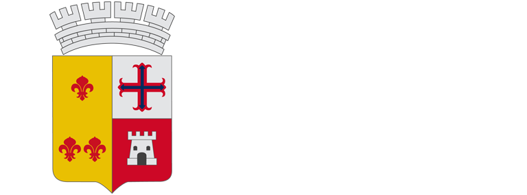 logo-municipalidad-bulnes